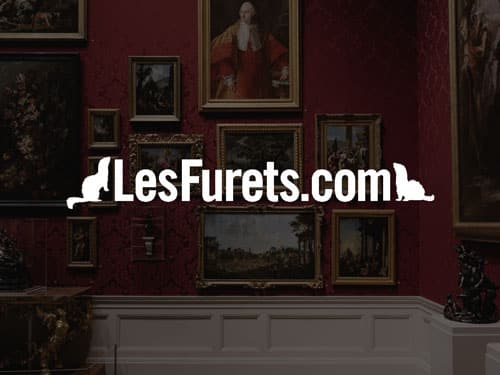 Logo de Les Furets, référence AntVoice